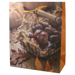 Punga cadou din hartie 26 x 32 cm, castane