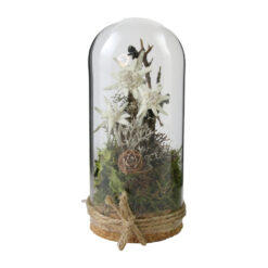 Decoratiune cu floare-de-colt sub cupola de sticla 7 x 15 cm