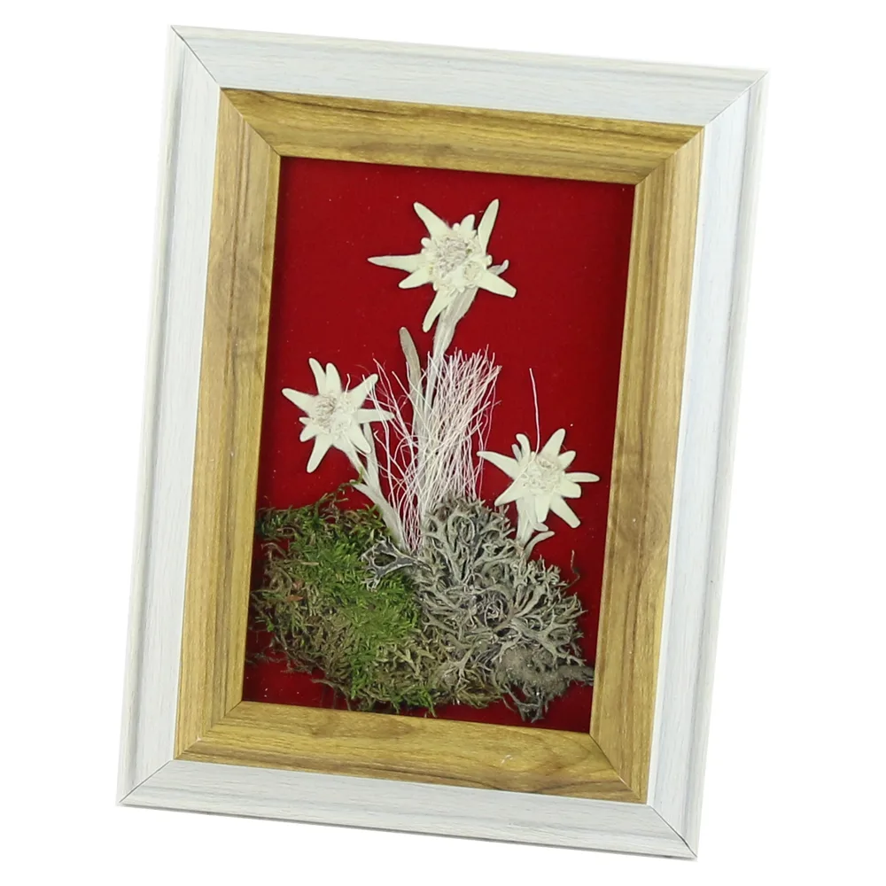 Tablou decorativ Floare de colt 12x18 CM