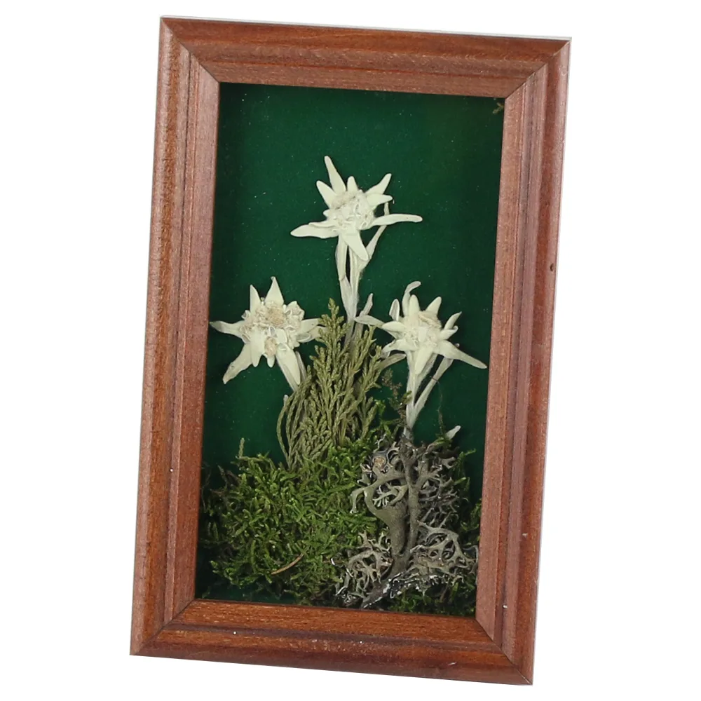Tablou decorativ Floare de colt 12x18 CM - imagine 2