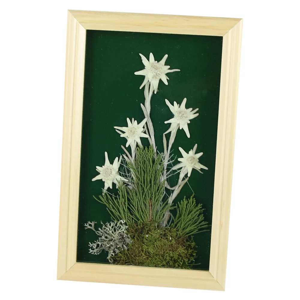 Tablou decorativ Floare de colt 15x24 CM - imagine 2