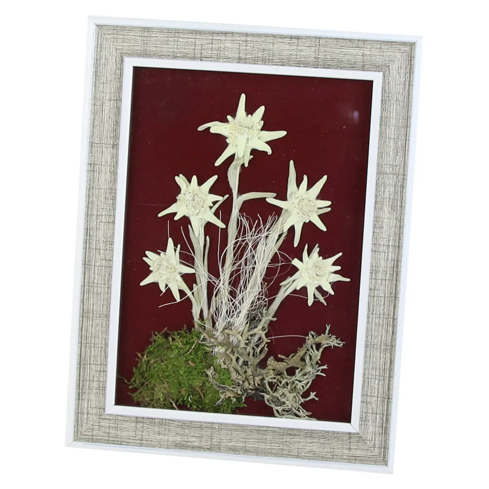 Tablou decorativ Floare de colt 15x24 CM - imagine 3