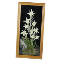 Tablou decorativ Floare de colt 16x32 CM - imagine 3