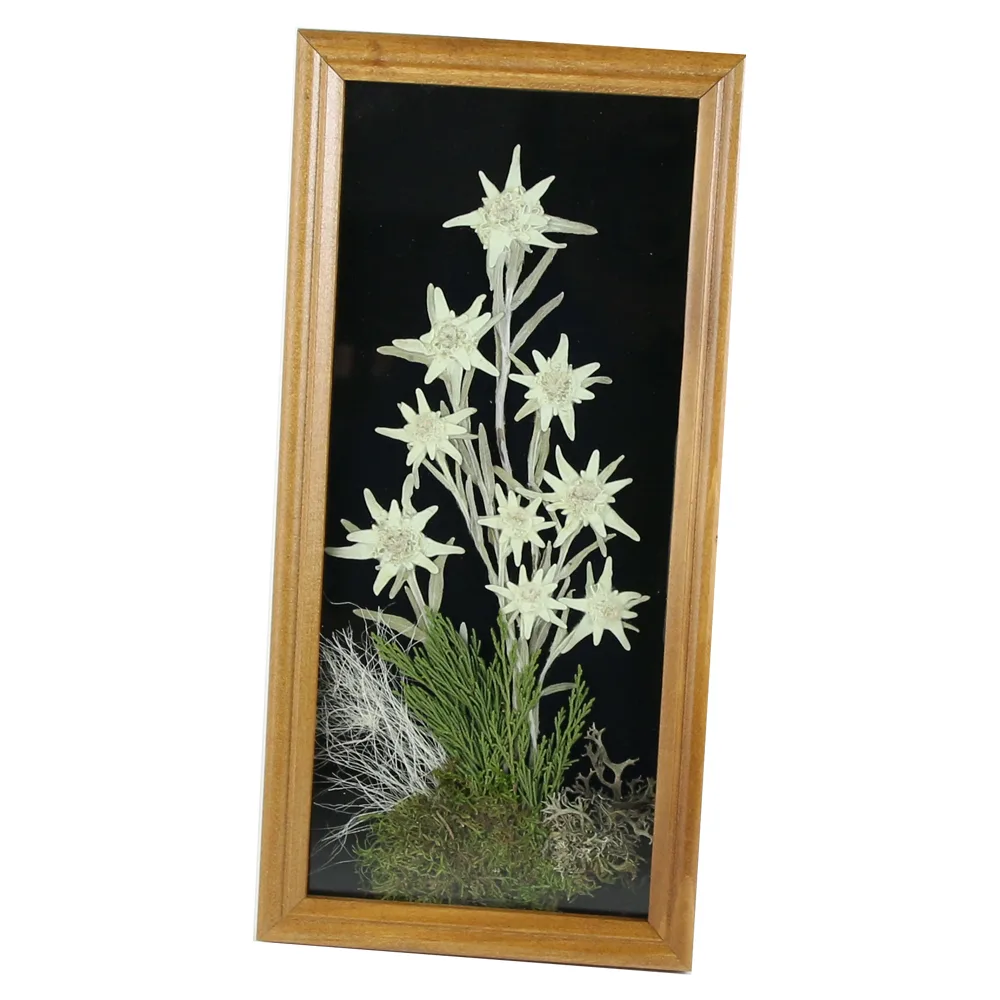 Tablou decorativ Floare de colt 16x32 CM - imagine 3