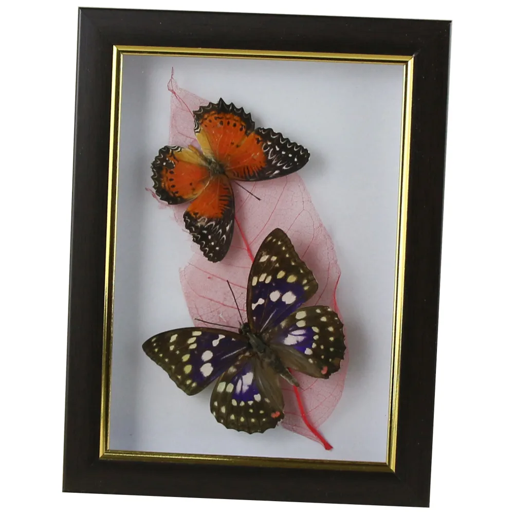 Tablou cu 2 fluturi naturali cu frunza colorata 16x21 CM, modele variate