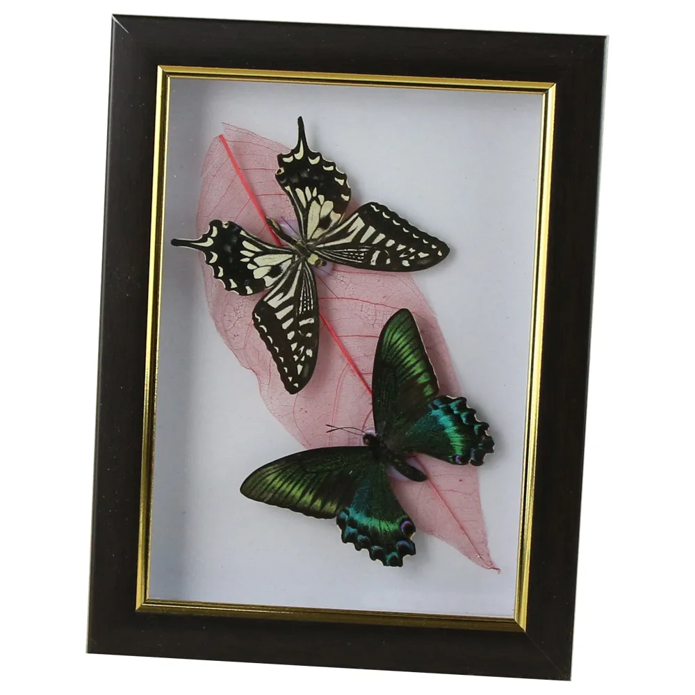 Tablou cu 2 fluturi naturali cu frunza colorata 16x21 CM, modele variate - imagine 2