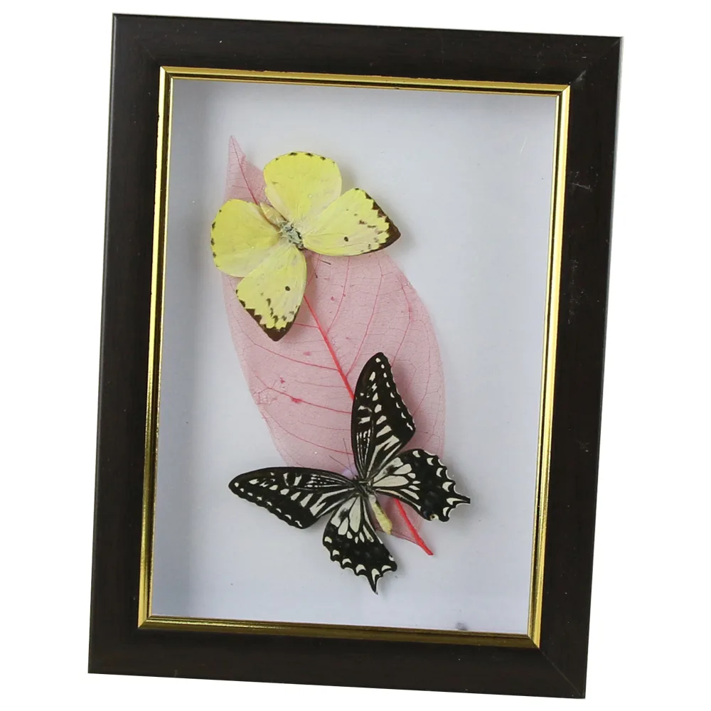 Tablou cu 2 fluturi naturali cu frunza colorata 16x21 CM, modele variate - imagine 3