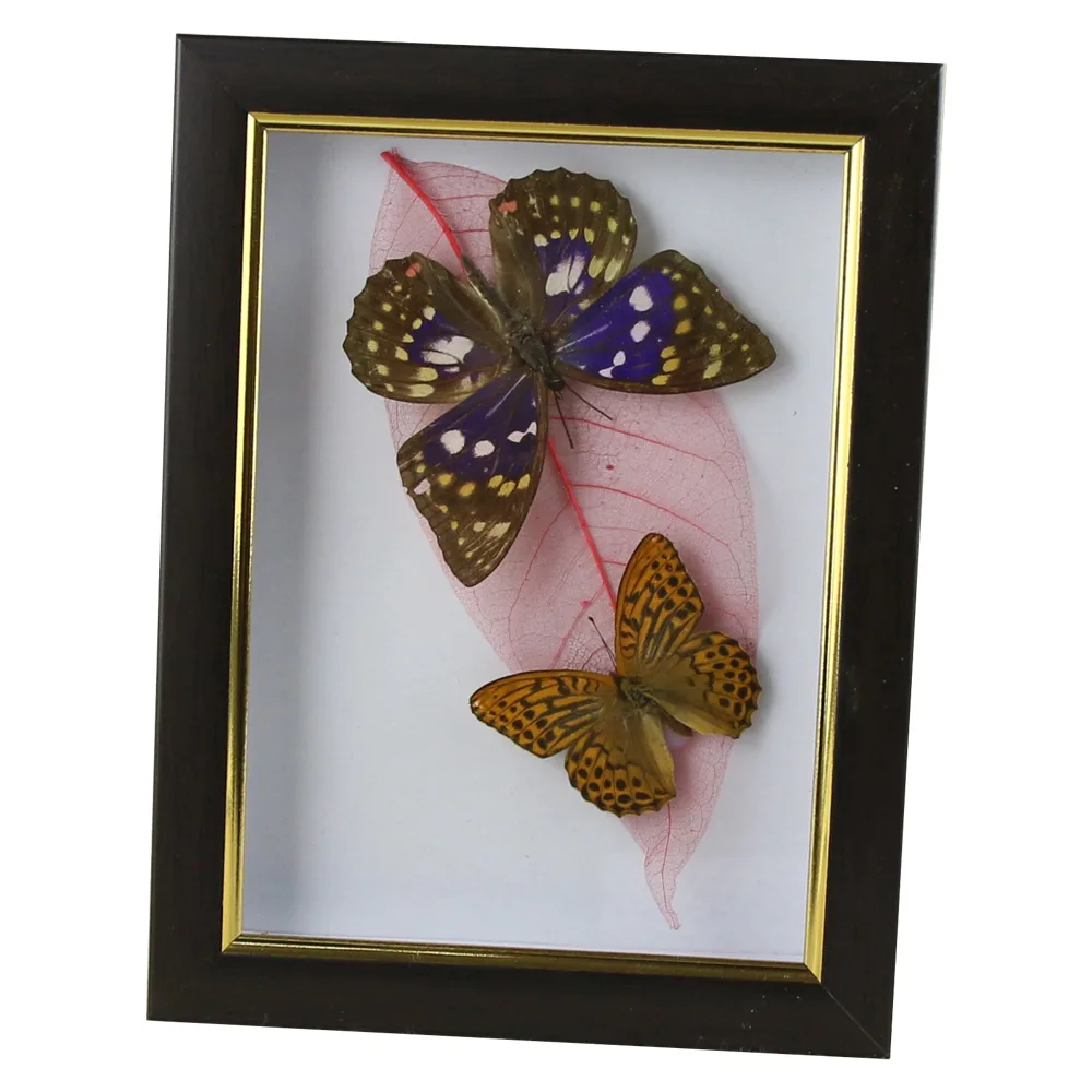 Tablou cu 2 fluturi naturali cu frunza colorata 16x21 CM, modele variate - imagine 4