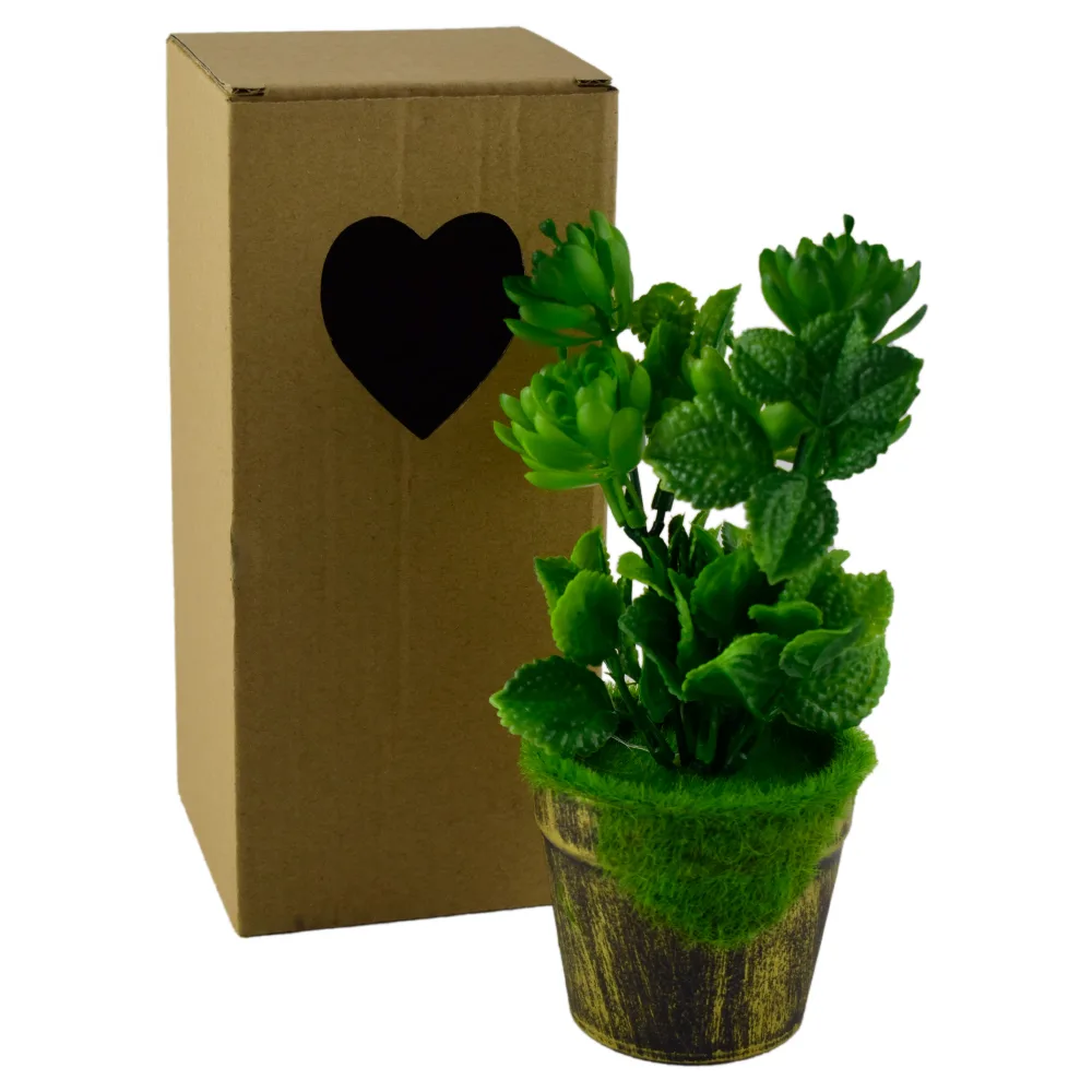 Plante artificiale in ghiveci, in cutie de cadou - Diverse modele (Model 3)