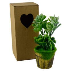 Plante artificiale in ghiveci, in cutie de cadou - Diverse modele (Model 3) - imagine 3