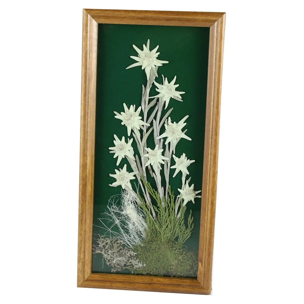 Tablou decorativ Floare de colt 16x32 CM