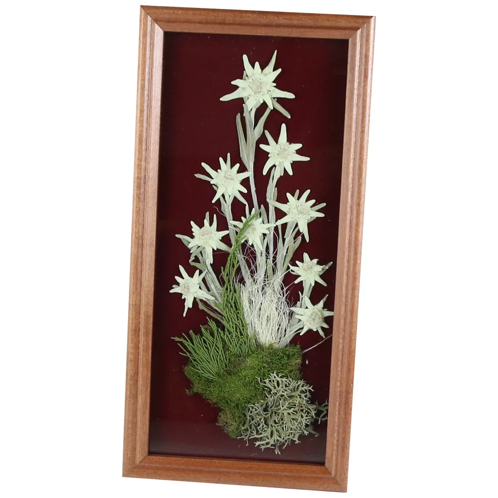 Tablou decorativ Floare de colt 16x32 CM - imagine 2