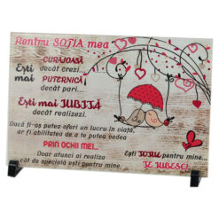 Placa decorativa "Pentru Sotia mea" 30x20 CM