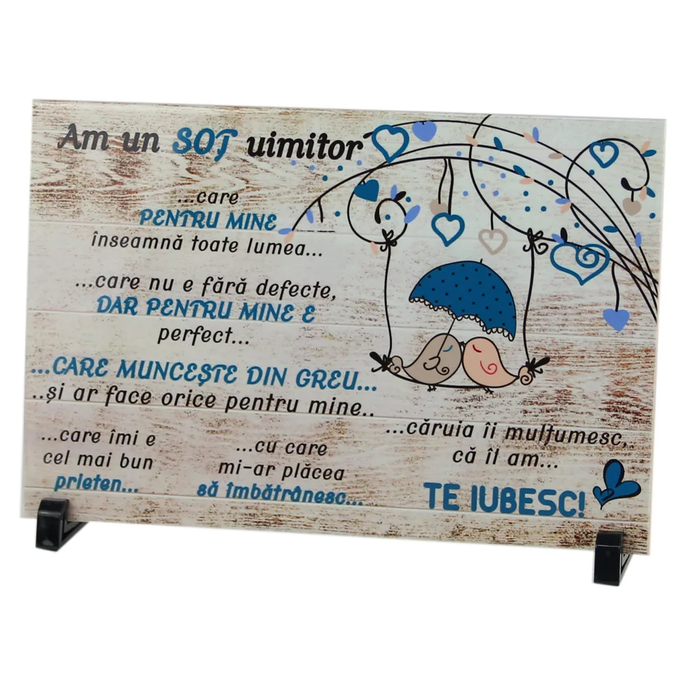 Placa decorativa "Am un Sot uimitor" 30x20 CM