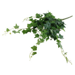 Ghirlanda iedera artificiala 60 CM