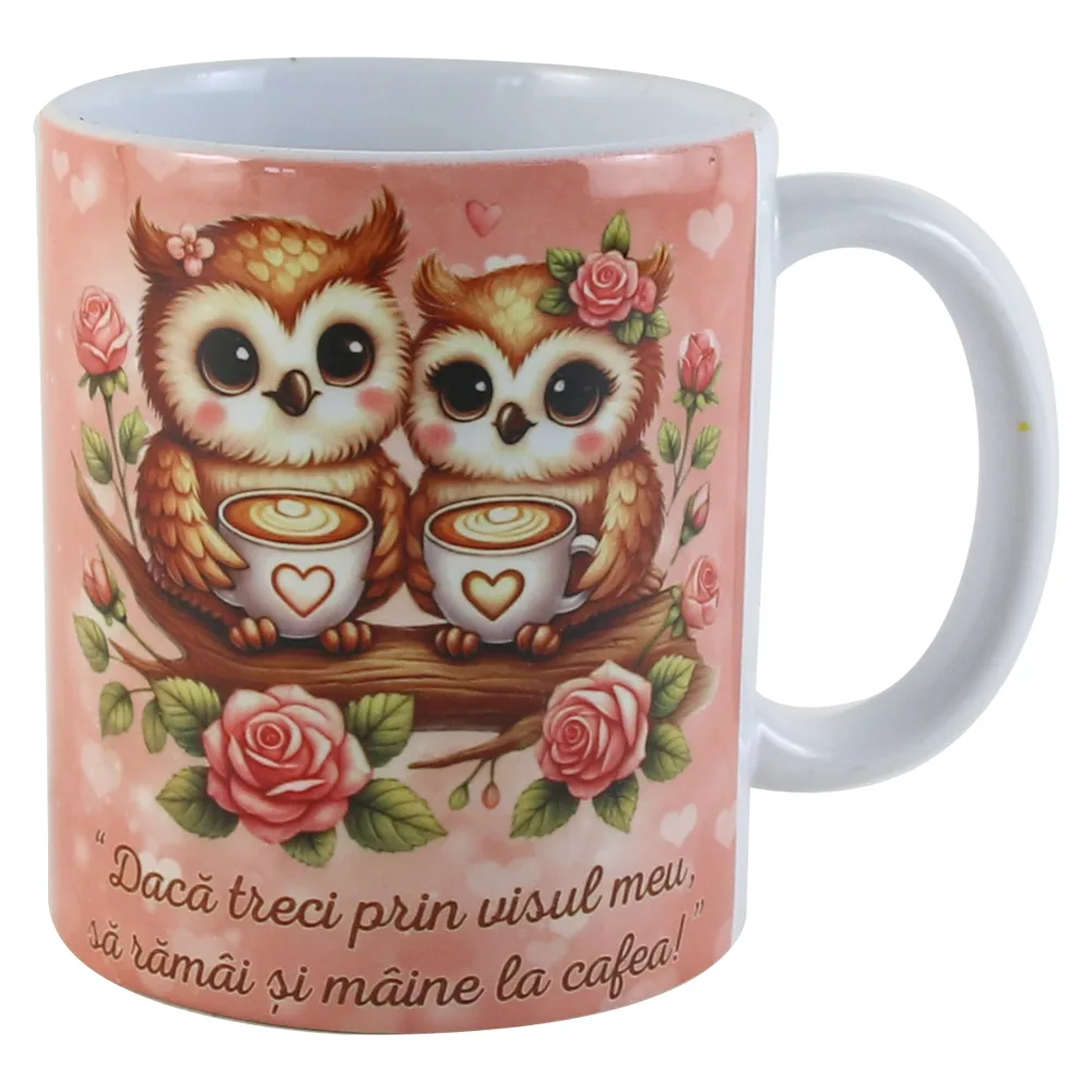 Cana din ceramica 330 ml, "Daca treci prin visul meu...", bufnite